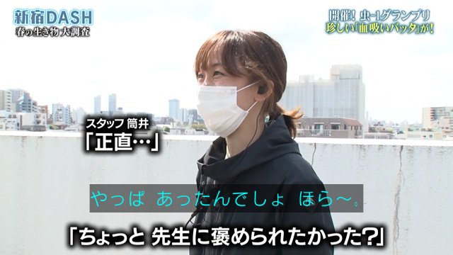 鉄腕DASH女性スタッフ