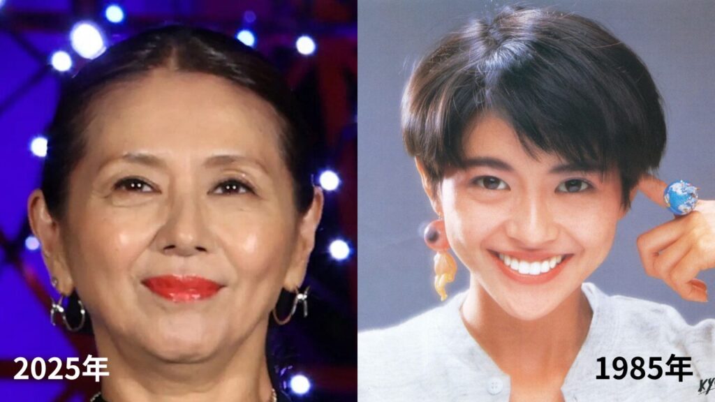 小泉今日子BMI比較
